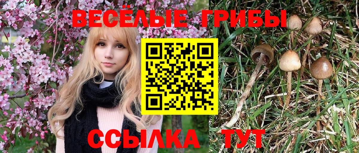 Псилоцибиновые грибы ЛСД  Вход с VPN  Моздок 