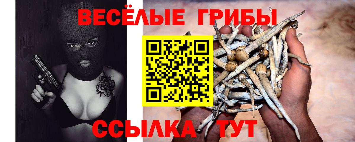 Псилоцибиновые грибы мухоморы Моздок